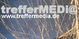 zur Startseite